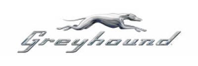 Greyhound